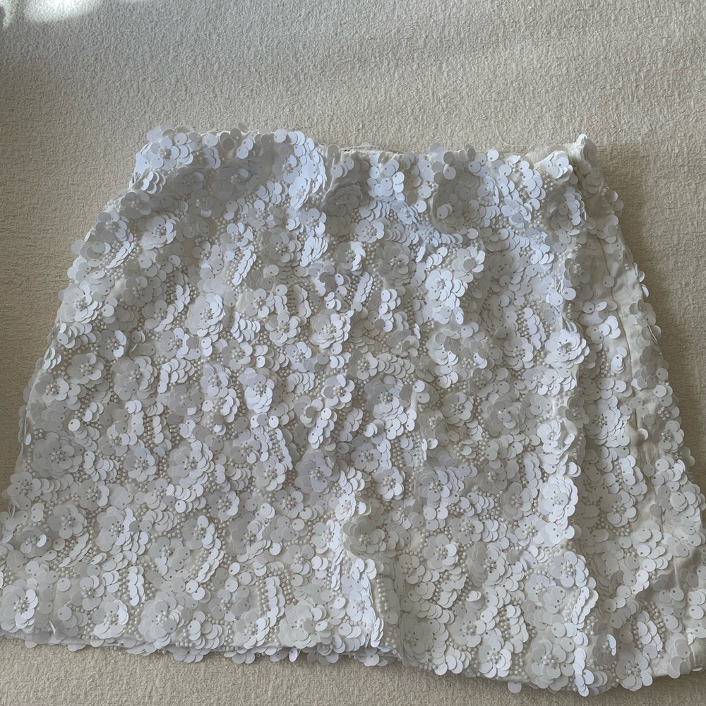 Zara sequin skirt